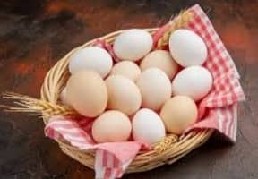 Aseel and plymoth fertile eggs for sale. 0