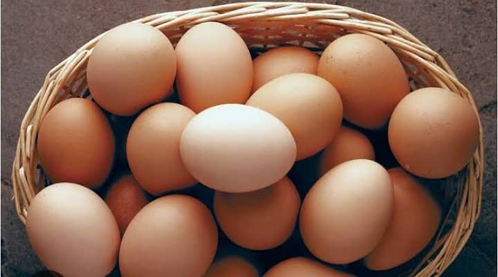 Aseel and plymoth fertile eggs for sale. 1