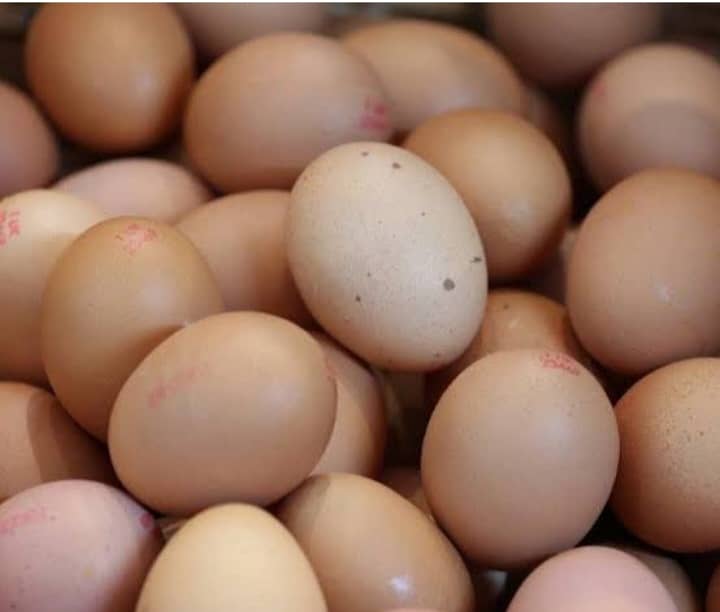 Aseel and plymoth fertile eggs for sale. 2