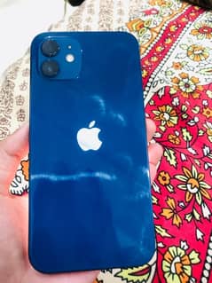 iPhone 12(Urgent sale)