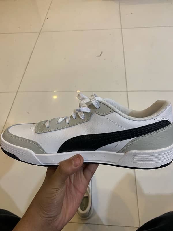 puma caracal 3