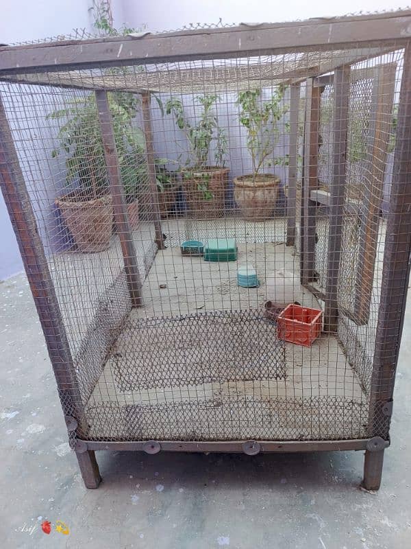 Hen / Birds cage / Pinjra for Sell 1