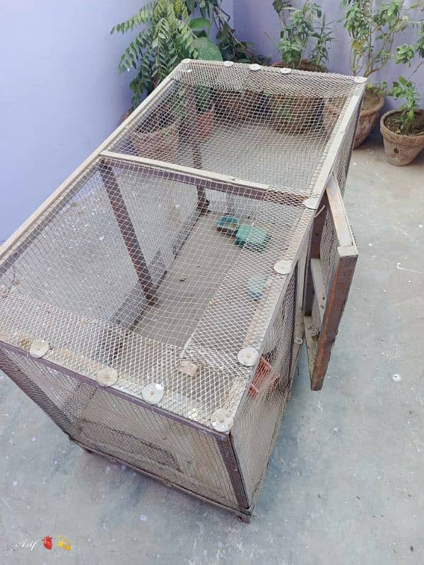 Hen / Birds cage / Pinjra for Sell 2