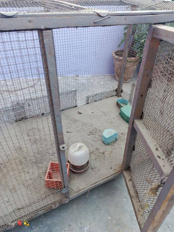 Hen / Birds cage / Pinjra for Sell 3