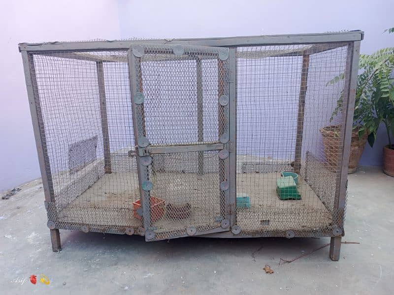 Hen / Birds cage / Pinjra for Sell 4