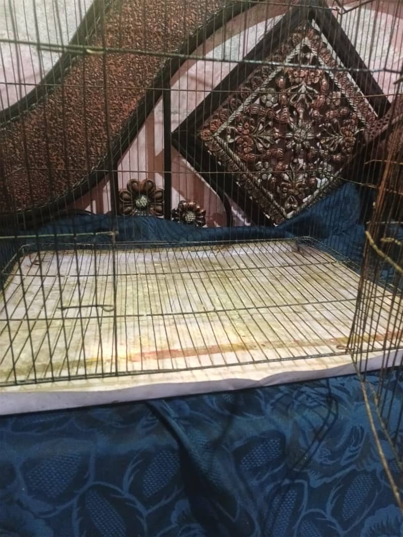 cage for sale 2