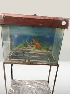 Fish aquarium