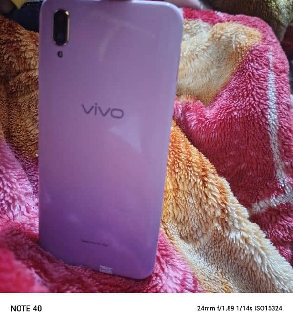 vivo97 3