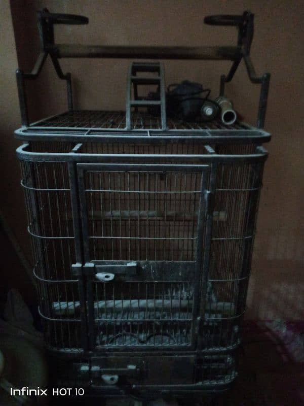 big birds cage 1