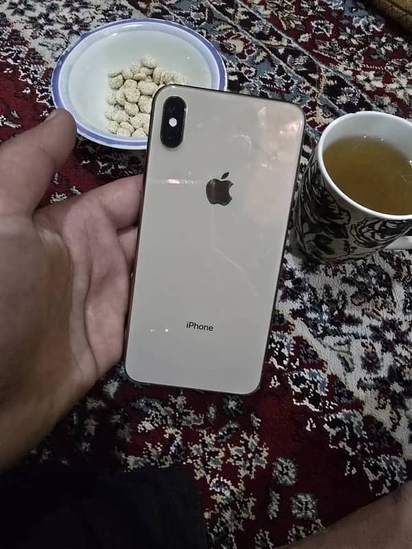 XS MAX pta approved 1