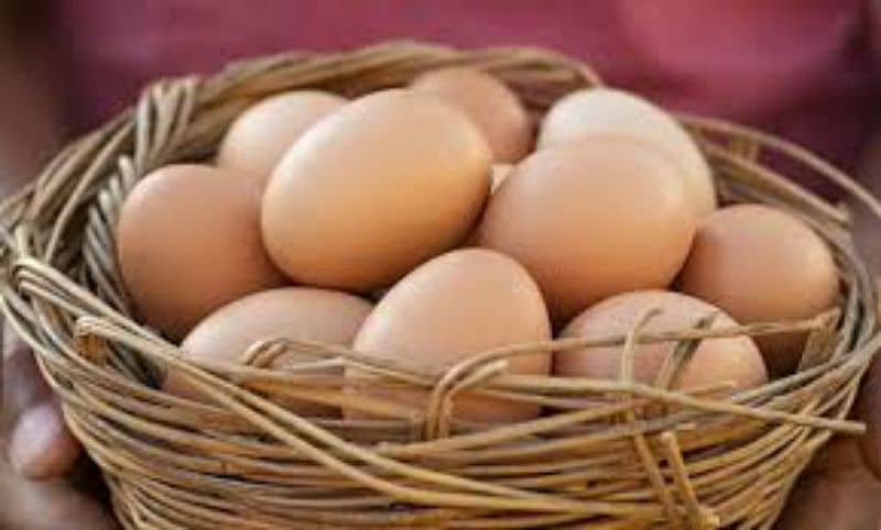 Fresh Table Organic Brown Eggs 50g to 75g plus 7