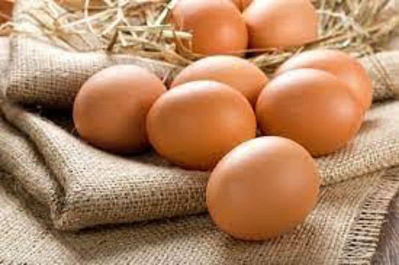 Fresh Table Organic Brown Eggs 50g to 75g plus 8