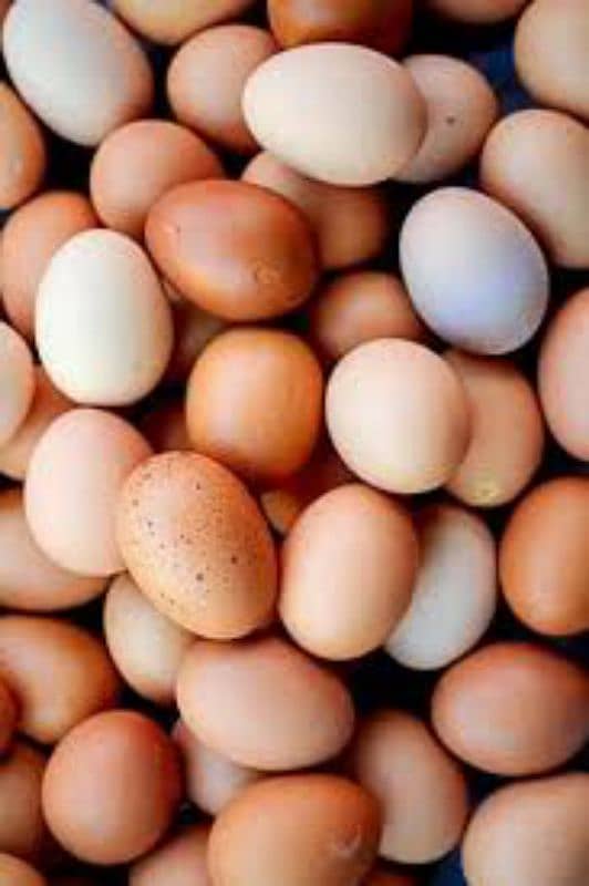 Fresh Table Organic Brown Eggs 50g to 75g plus 10