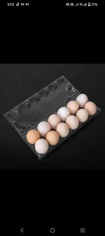 Fresh Table Organic Brown Eggs 50g to 75g plus 11