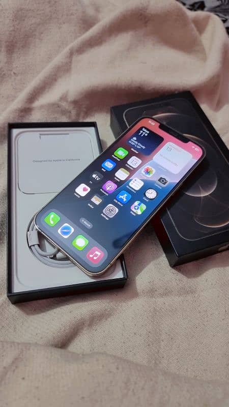 IPhone 12 Pro Max Dual PTA Approved 256GB 0