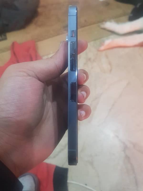 Iphone 13 pro dual pta 6