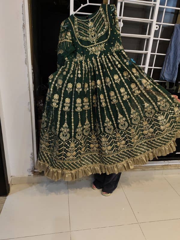 beautiful embroidery dress 0