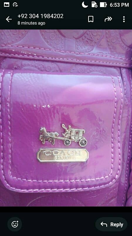 coach bag 2