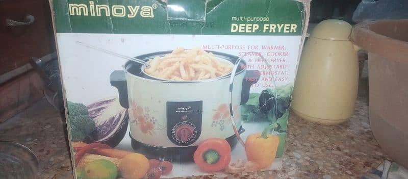 deep fryer 1