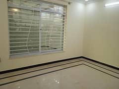 Ground Portion Available For Rent In Gulberg