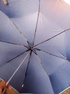 umbrella