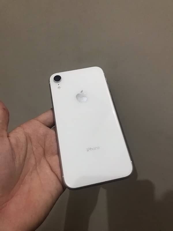 Iphone XR jv 1