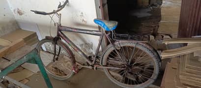 Cycle for sale