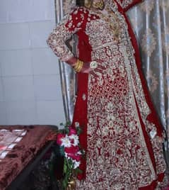 weeding dress lehnga frok and dupta in blood red color