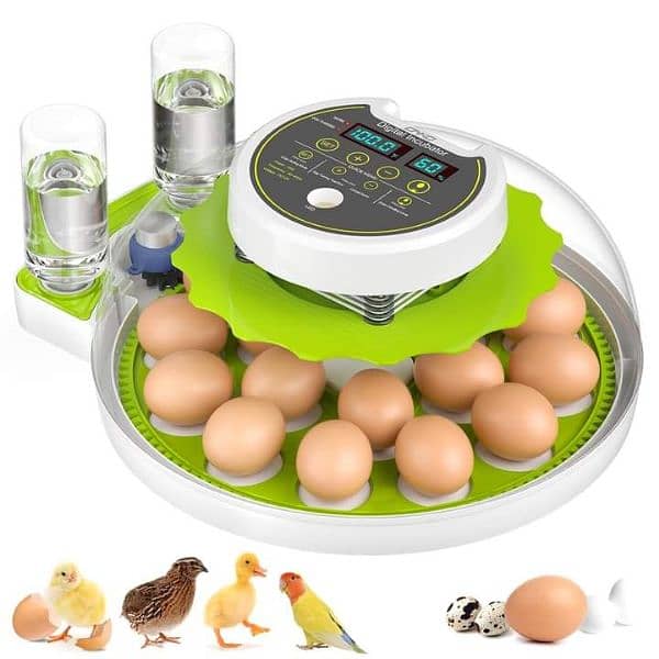 Intelligent 8/18 eggs automatic round incubator machine 1