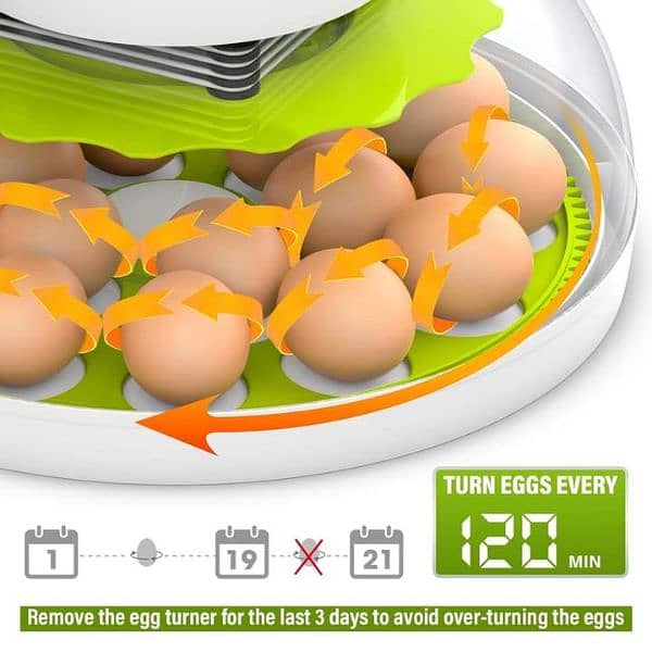 Intelligent 8/18 eggs automatic round incubator machine 2