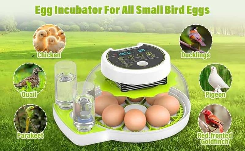 Intelligent 8/18 eggs automatic round incubator machine 8