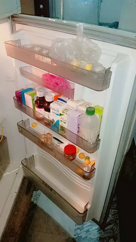 extra large size fridge 2