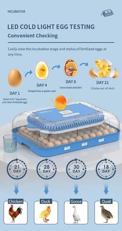 70 Eggs high quality incubator for Parrot/Shamo/Parrot Beak/Thai Lover