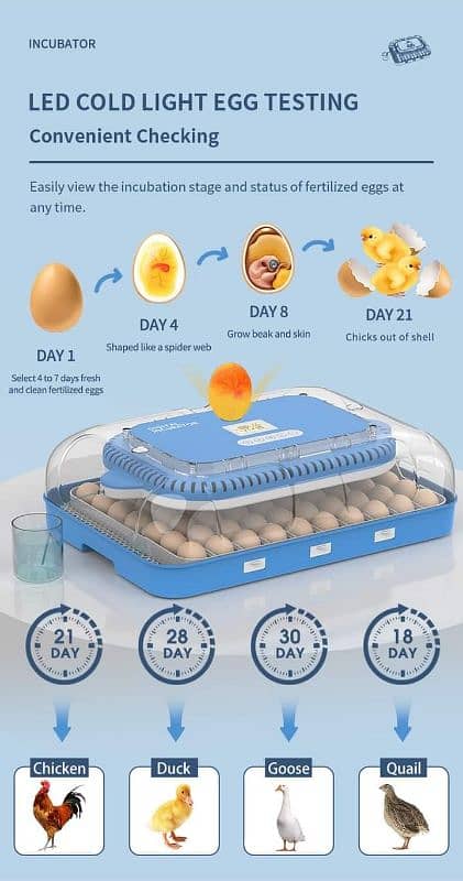 70 Eggs high quality incubator for Parrots/Shamo 9