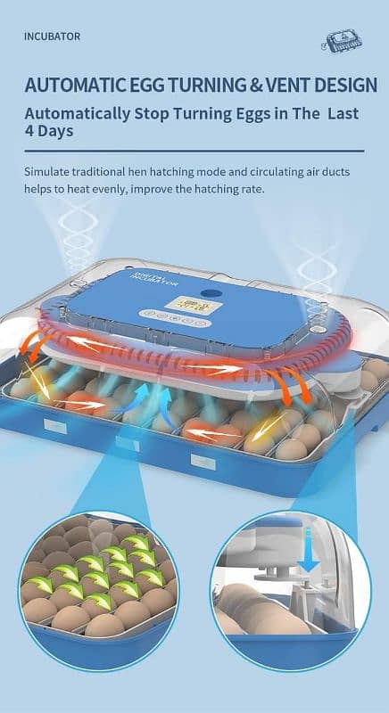 70 Eggs high quality incubator for Parrots/Shamo 11