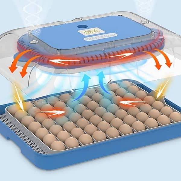 70 Eggs high quality incubator for Parrots/Shamo 13