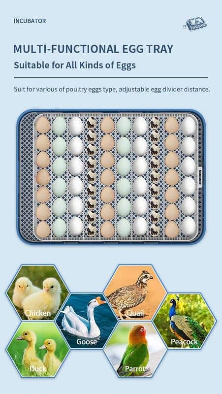 70 Eggs high quality incubator for Parrots/Shamo 15