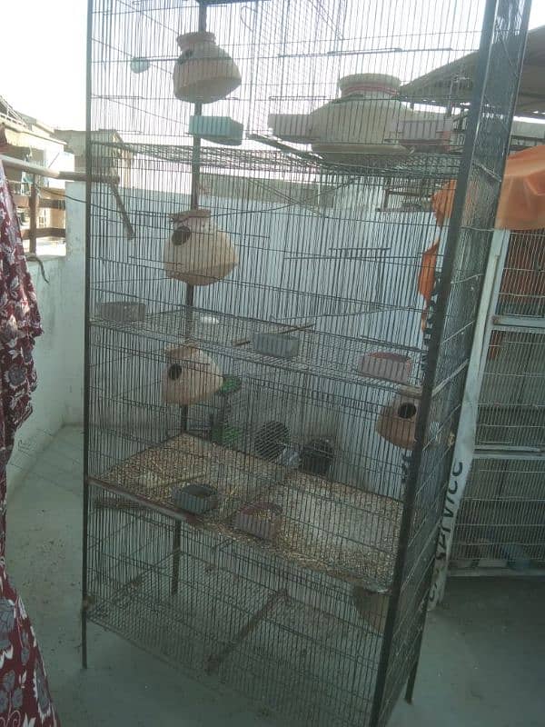 Birds Cage 2