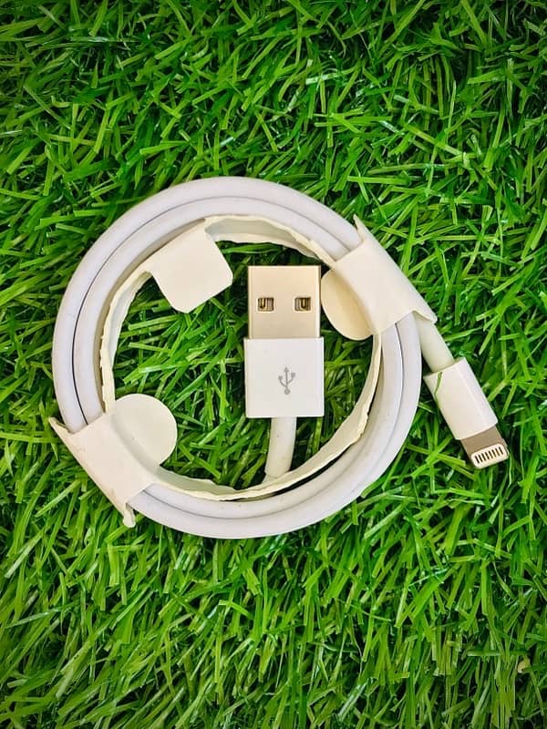 iPhone Original charger with Cable-5Watt-2Pin-fast-Apple-Orignal 5