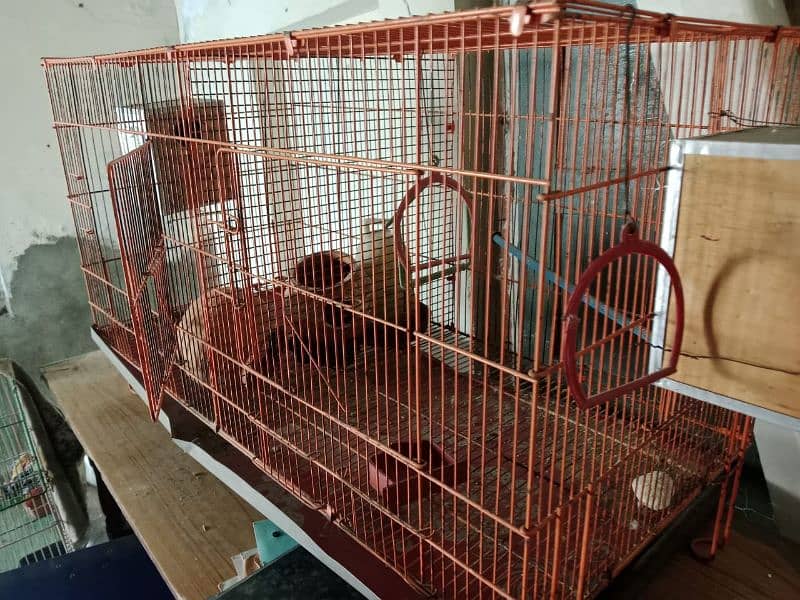 parrot cage Double ×2 0