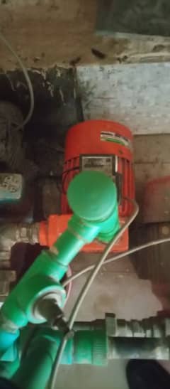 shahzad water pump 1/2 hp