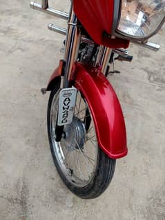 CD Dream 70cc 2024