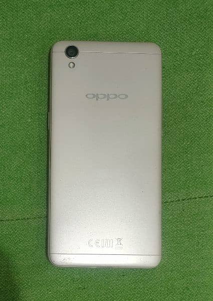 Oppo A37f neat and clean 1