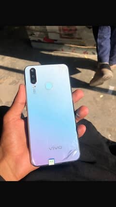 Vivo