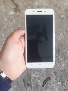 vivo y66 non pta all ok