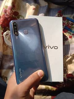 vivo