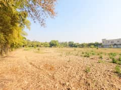 Looking For A Residential Plot In Lahore