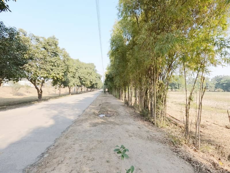 Looking For A Residential Plot In Lahore 15