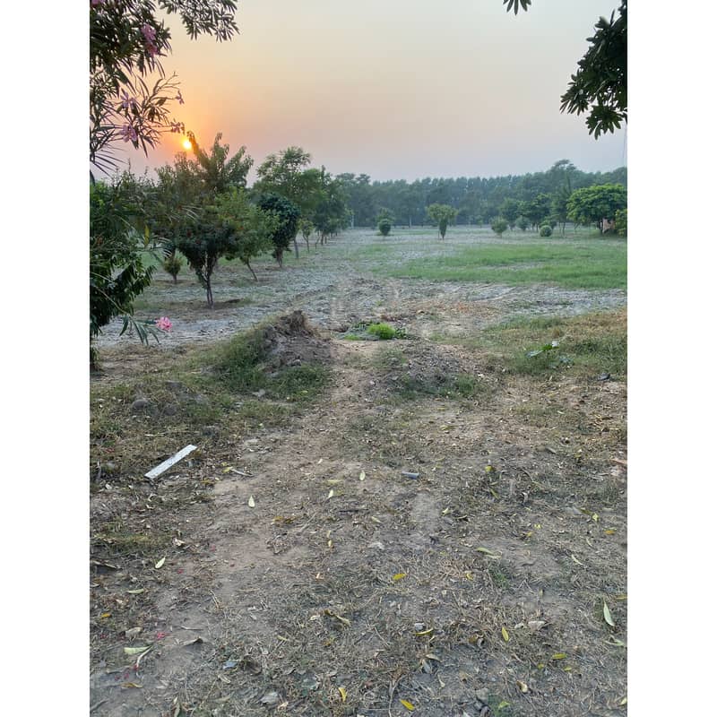 4 Kanal Plot 60 Ft ROAD At Ideal Location To Built A Dream House 1