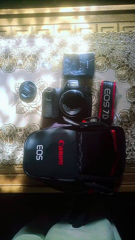 Canon 6d with 50mm yongnuo lens 7